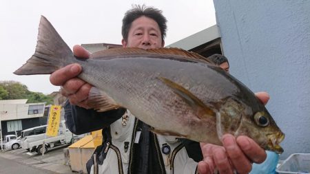 伊豆下田フィッシング 釣果