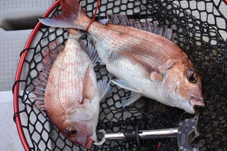 Fisherman Dreams DI 釣果