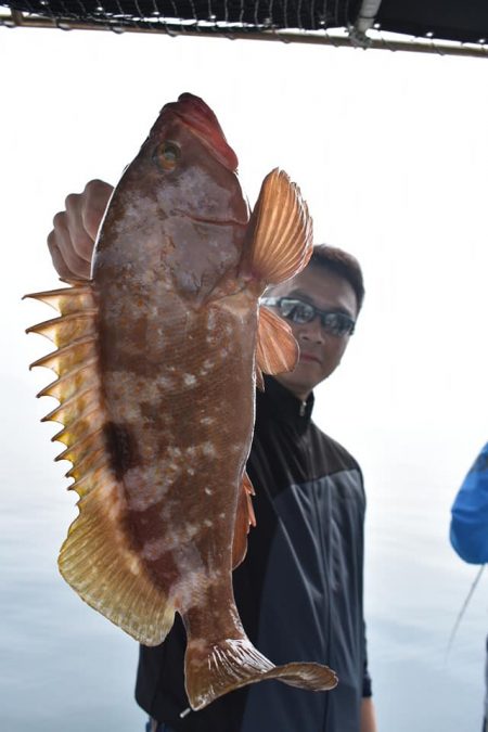 Fisherman Dreams DI 釣果