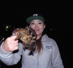 シーマジカル 釣果