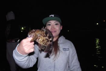 シーマジカル 釣果