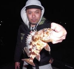 シーマジカル 釣果