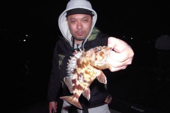 シーマジカル 釣果