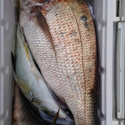 伊豆下田フィッシング 釣果