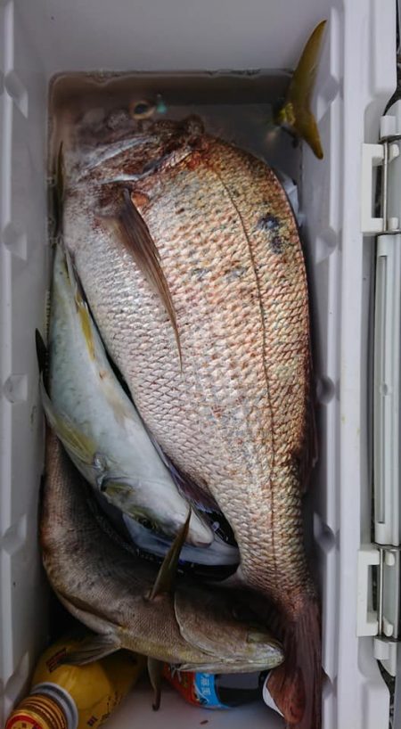 伊豆下田フィッシング 釣果