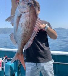 愛海丸 釣果