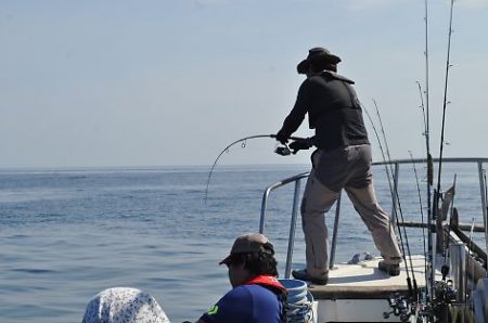 八海丸 釣果