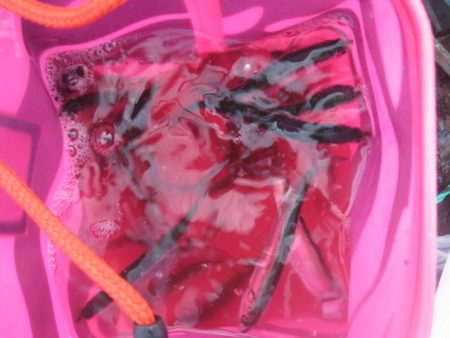 オリジナルメーカー海づり公園(市原市海づり…