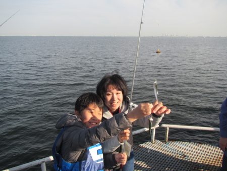 オリジナルメーカー海づり公園(市原市海づり施設) 釣果