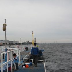 オリジナルメーカー海づり公園(市原市海づり施設) 釣果