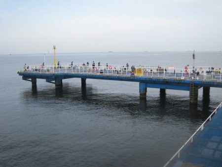 オリジナルメーカー海づり公園(市原市海づり施設) 釣果