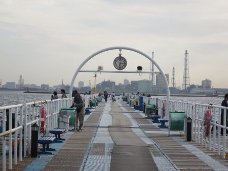 オリジナルメーカー海づり公園(市原市海づり施設) 釣果