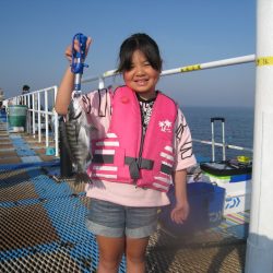 オリジナルメーカー海づり公園(市原市海づり施設) 釣果