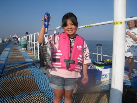 オリジナルメーカー海づり公園(市原市海づり…