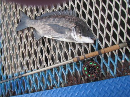 オリジナルメーカー海づり公園(市原市海づり…