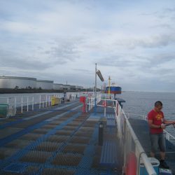 オリジナルメーカー海づり公園(市原市海づり施設) 釣果