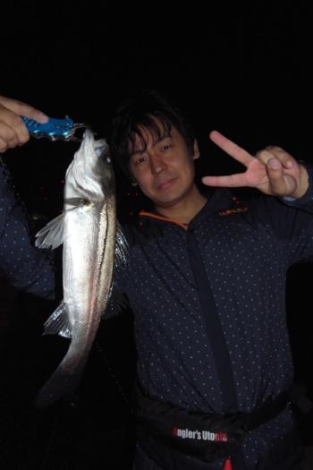 シーマジカル 釣果