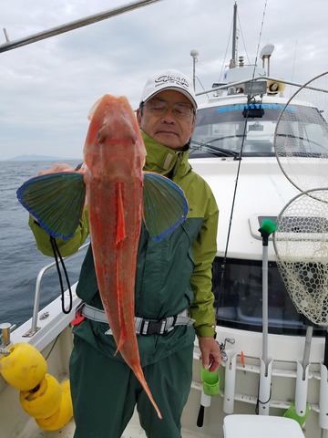 遊漁船 ニライカナイ 釣果