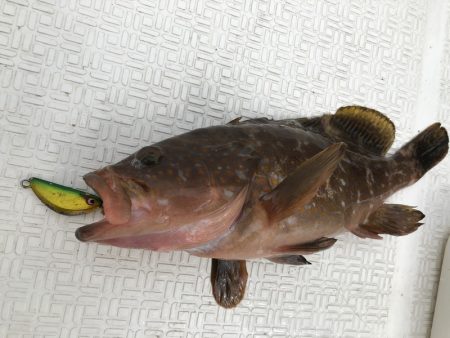 Magic(マジック) 釣果