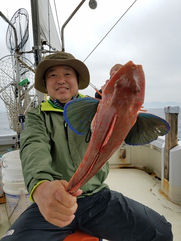 遊漁船 ニライカナイ 釣果