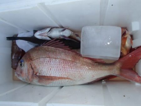 第二むつ漁丸 釣果