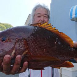 伊豆下田フィッシング 釣果