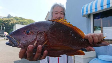 伊豆下田フィッシング 釣果