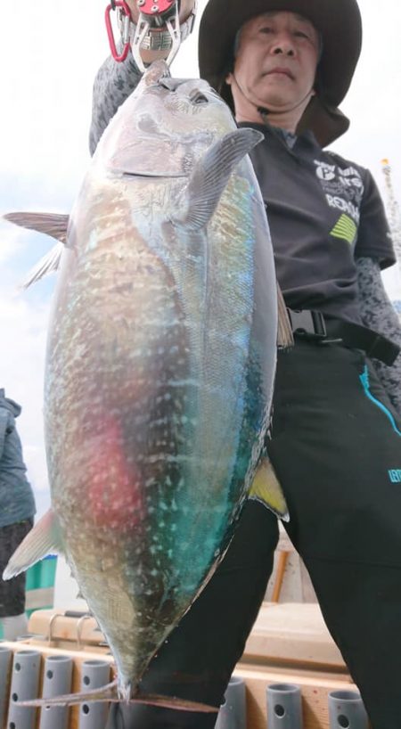 伊豆下田フィッシング 釣果