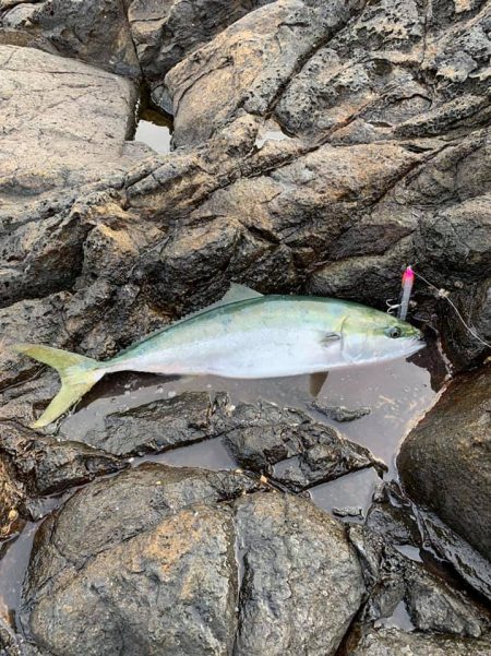 伊豆下田フィッシング 釣果