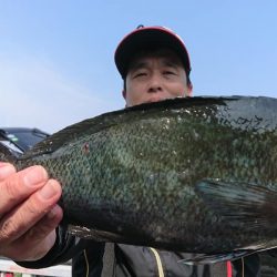 伊豆下田フィッシング 釣果