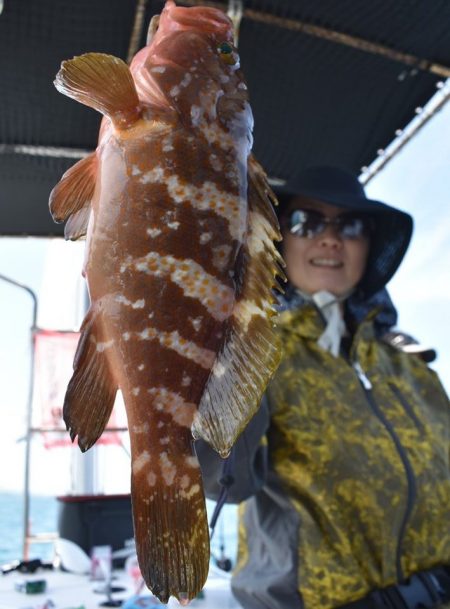 Fisherman Dreams DI 釣果