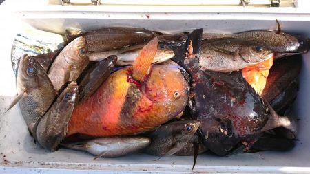 伊豆下田フィッシング 釣果