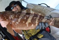 Fisherman Dreams DI 釣果