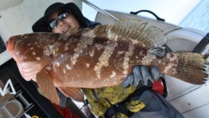 Fisherman Dreams DI 釣果