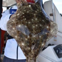 Fisherman Dreams DI 釣果