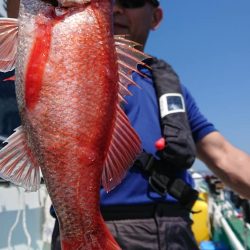 伊豆下田フィッシング 釣果