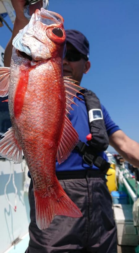 伊豆下田フィッシング 釣果