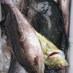 伊豆下田フィッシング 釣果