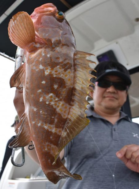 Fisherman Dreams DI 釣果