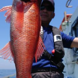 伊豆下田フィッシング 釣果