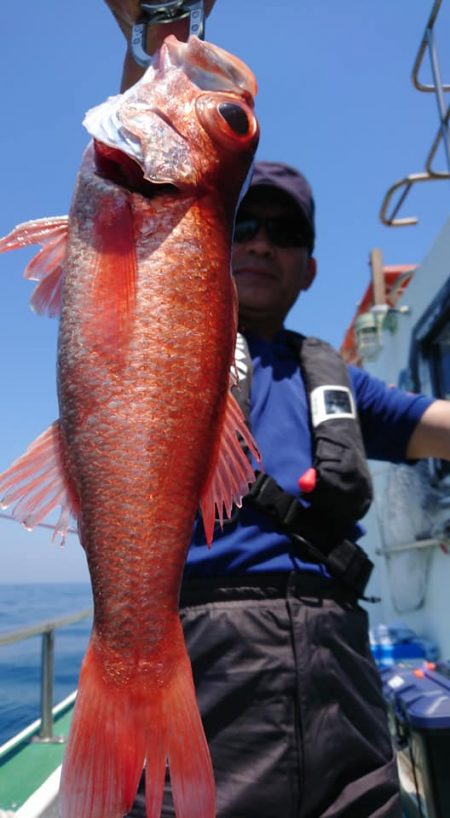 伊豆下田フィッシング 釣果
