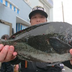 伊豆下田フィッシング 釣果