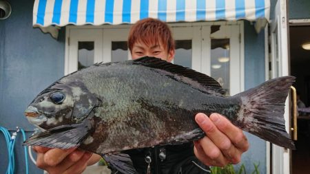 伊豆下田フィッシング 釣果