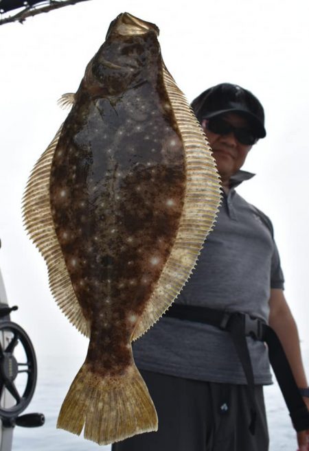 Fisherman Dreams DI 釣果