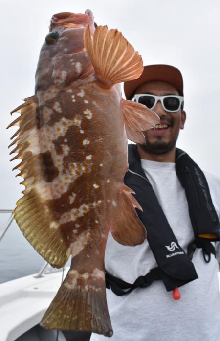 Fisherman Dreams DI 釣果