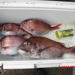 大進丸(新潟) 釣果