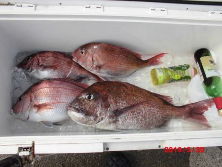 大進丸(新潟) 釣果