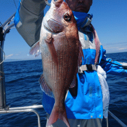 遊漁船ブルーウッズ 釣果