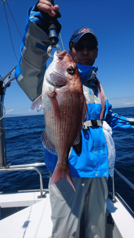 遊漁船ブルーウッズ 釣果