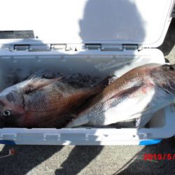 大進丸(新潟) 釣果